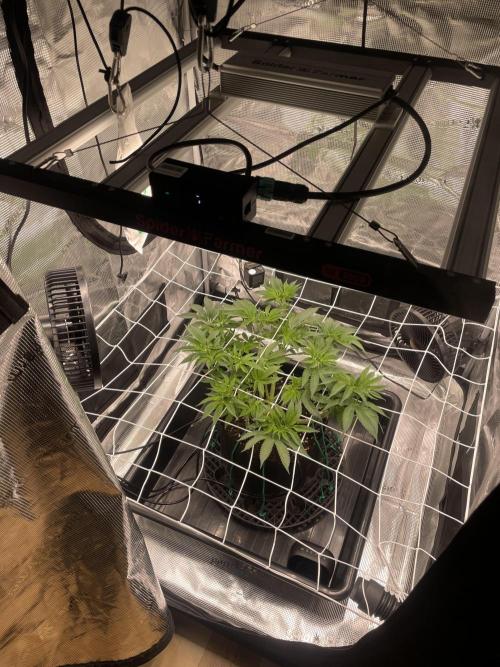 First 🌱💚. Week 8