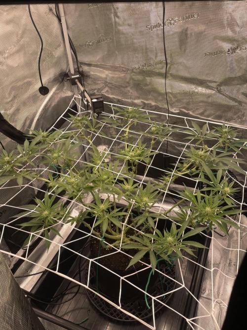 First 🌱💚. Week 10