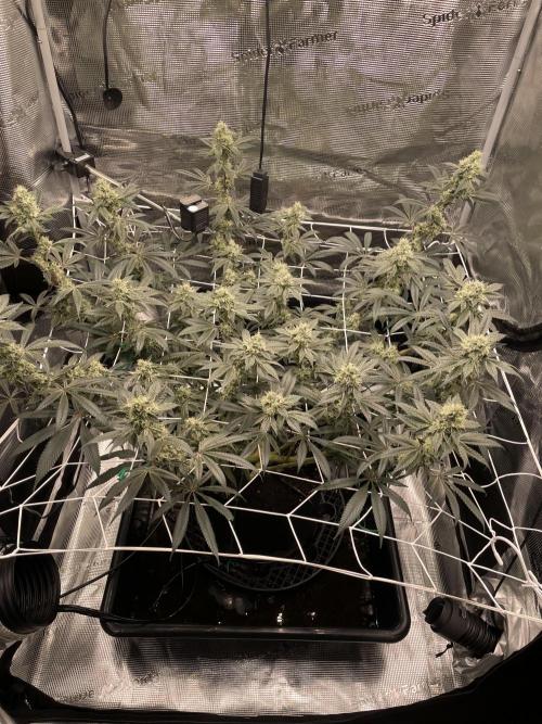 First 🌱💚. Week 14