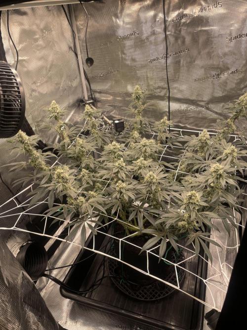 First 🌱💚. Week 14