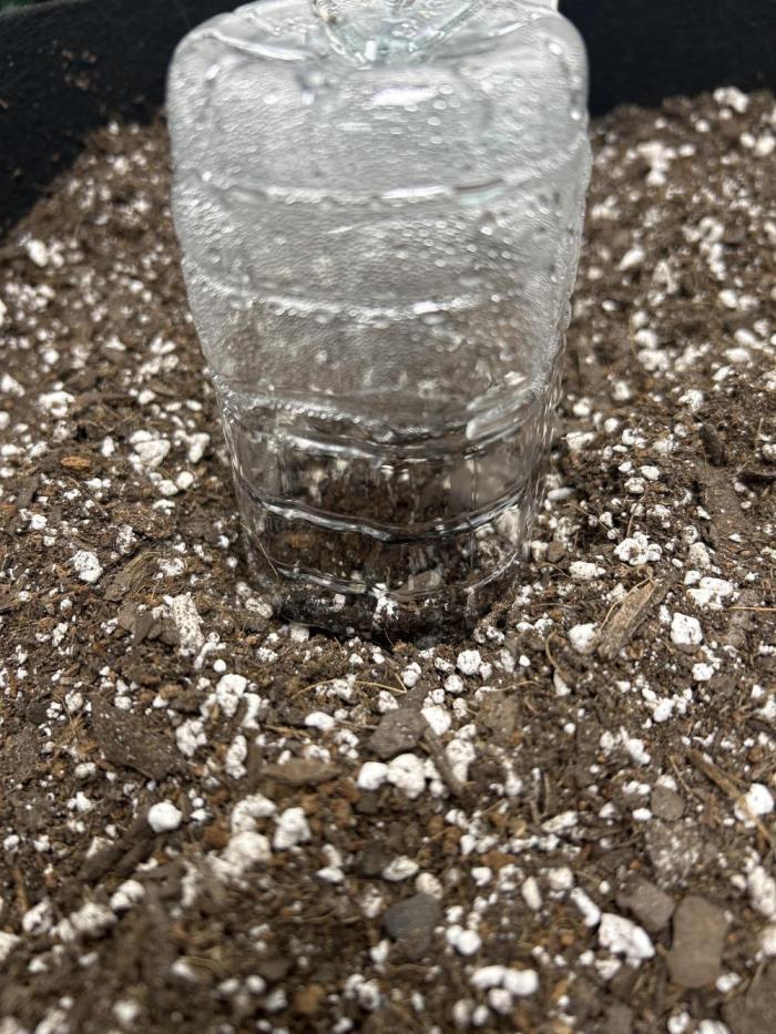 2nd Attempt. Week 0 - Sprout time 🌱 