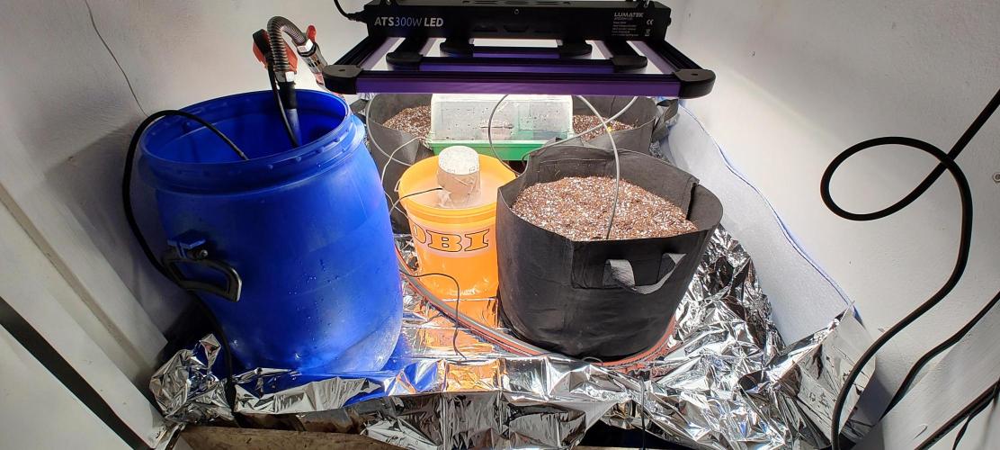 1.legal🍀🤘🍀. Week 0