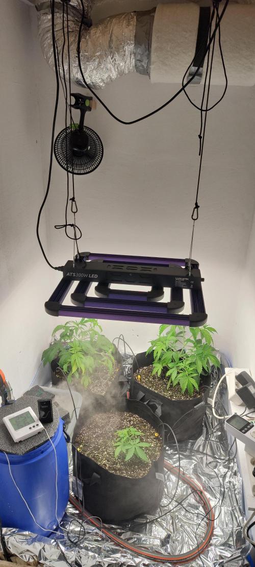 1.legal🍀🤘🍀. Week 3