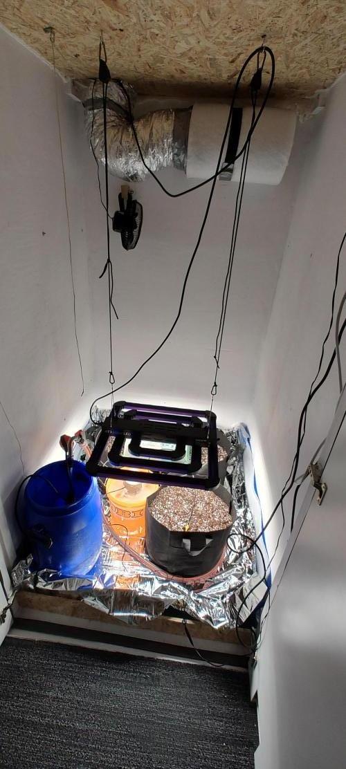 1.legal🍀🤘🍀. Week 0