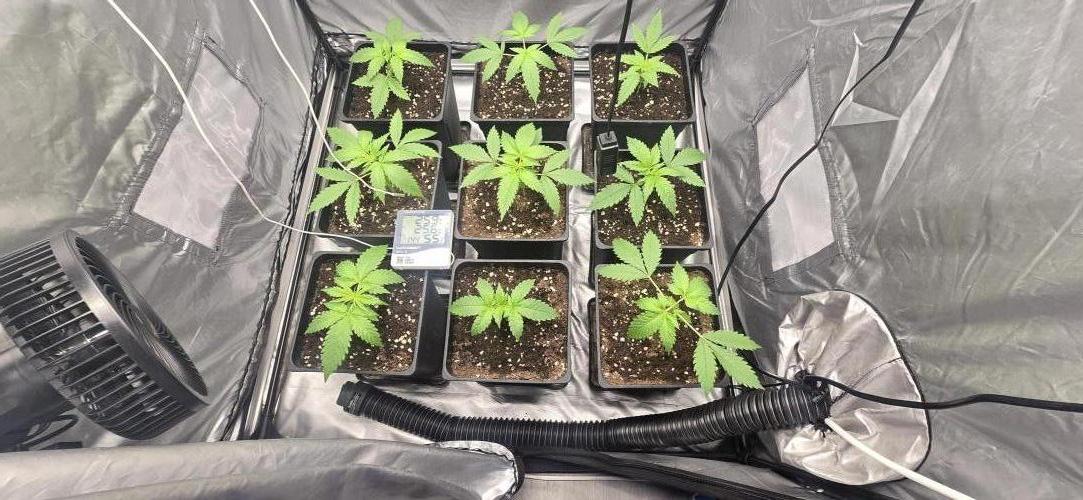 SE3000. Week 3