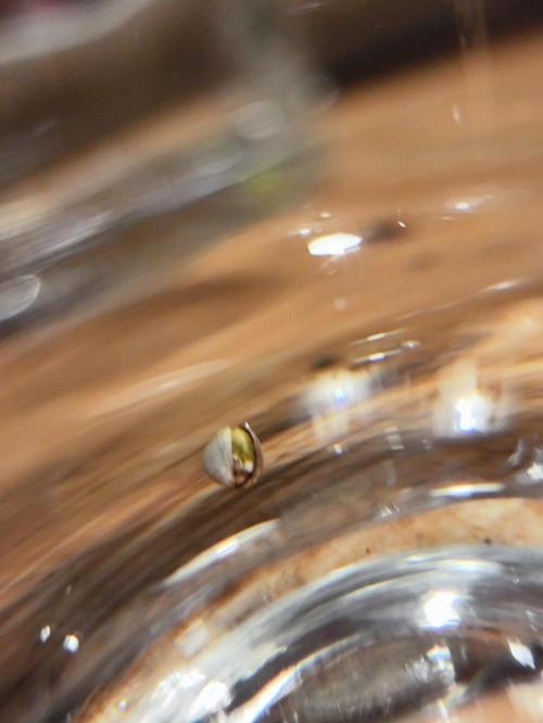 Lemon Cherry Cookies Auto. Week 0