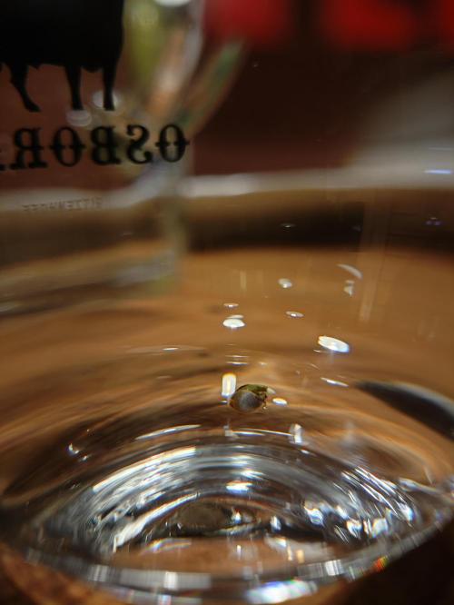 Lemon Cherry Cookies Auto. Week 0