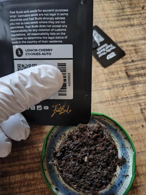 Lemon Cherry Cookies Auto. Week 0