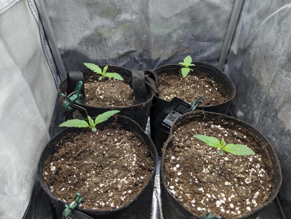 Preparing for the competition.. Week 0 - First week