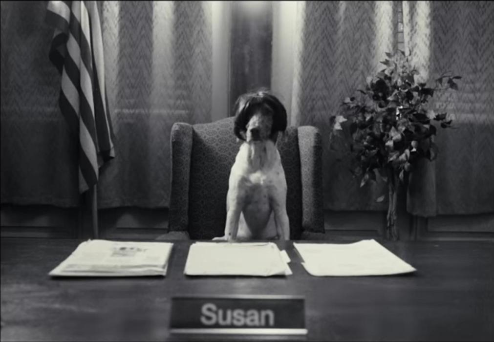 Seed Supreme. Week 0