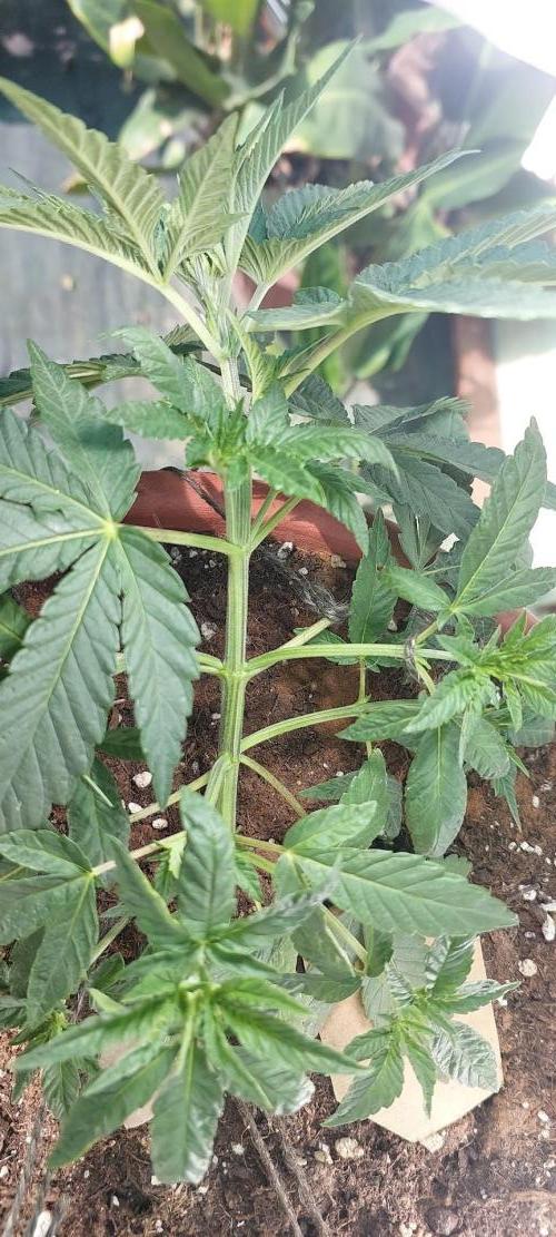 Outdoor Tests. Week 4