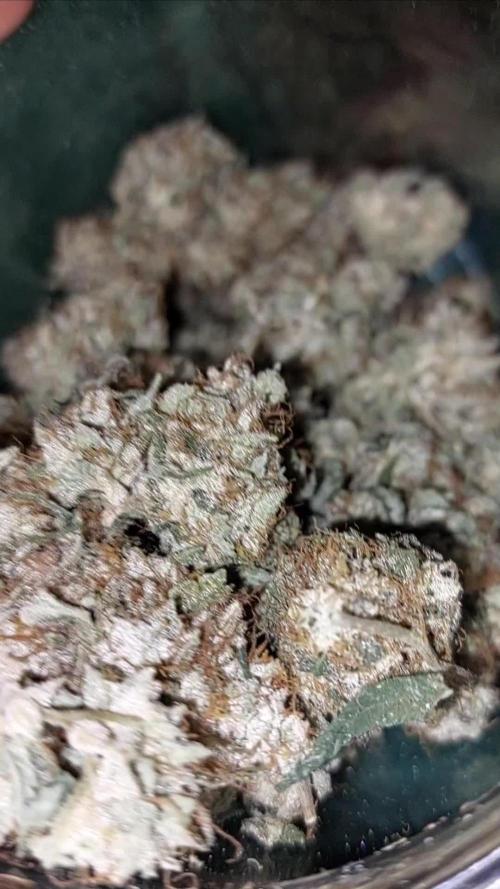 BlueForestBerry