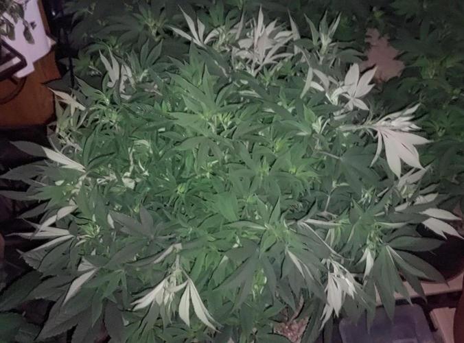 TerpgasmStecki. Week 8