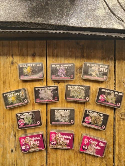 Original Oreoz - Growers Choice. Week 2