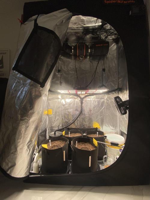 1/2026 auto. Week 0 - První den jsem opravdu nevěděl co dělám.
Ale taktika pokus omyl má své výsledky 