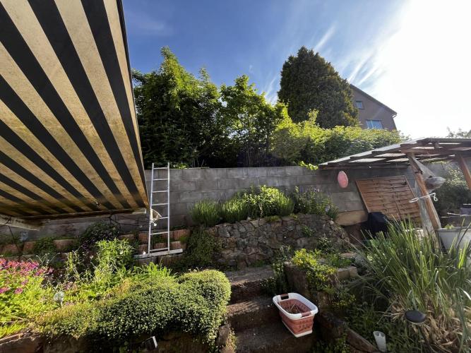 The Hobbit Hole Outdoor Grow 2026. Week 0