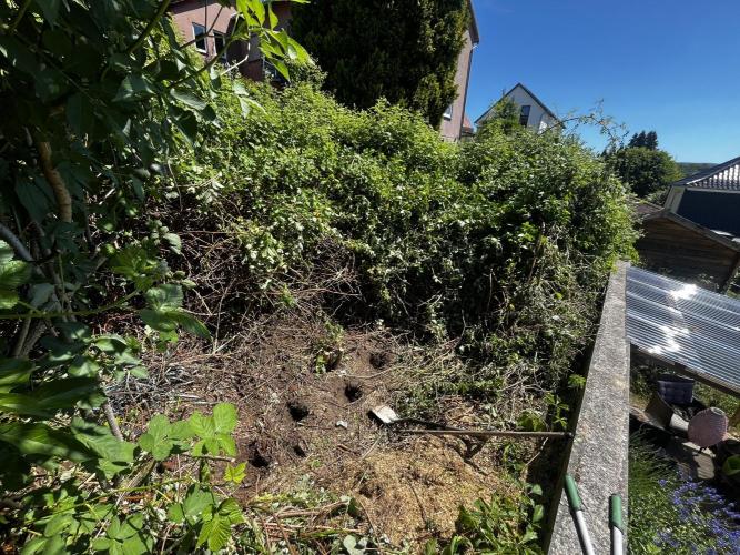 The Hobbit Hole Outdoor Grow 2026. Week 0