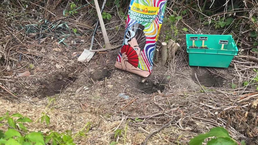 The Hobbit Hole Outdoor Grow 2026