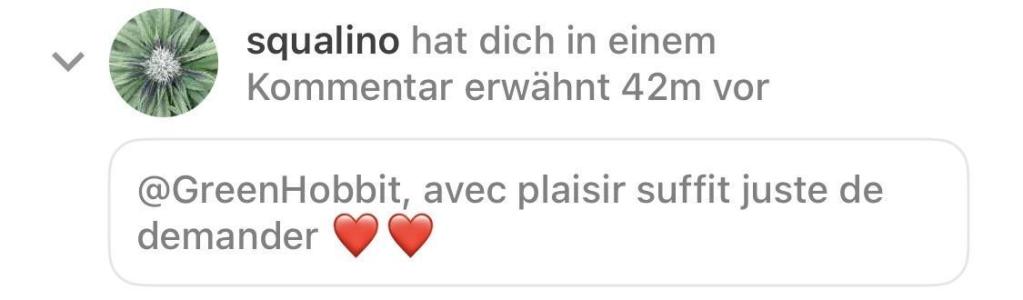 Comment by GreenHobbit photo #1