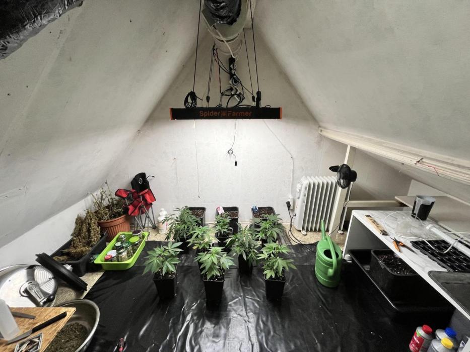 Mixed grow 24/25. Week 1