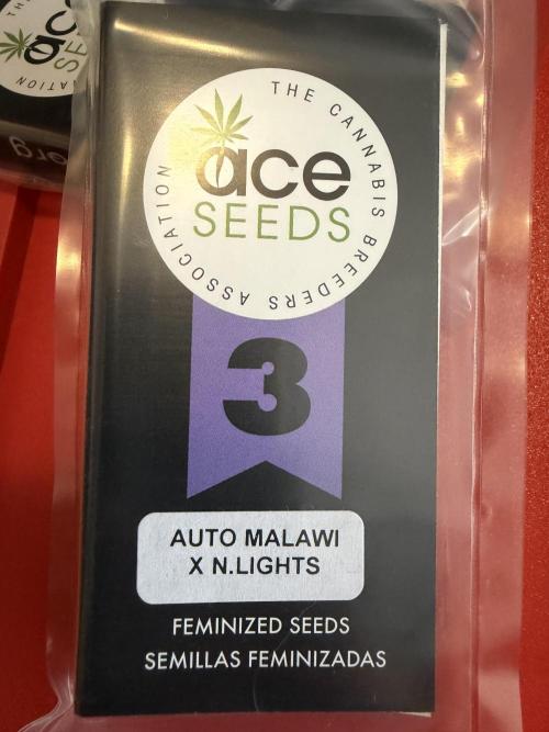 AUTO MALAWI X N.LIGHTS. Week 0
