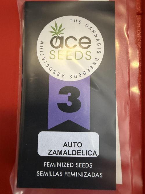 Zamaldelica Auto. Week 0