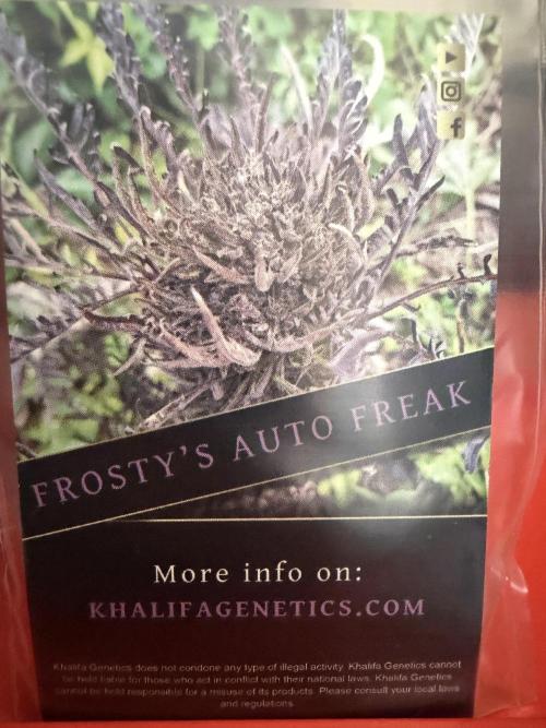 Frosty‘s Auto Freak. Week 0