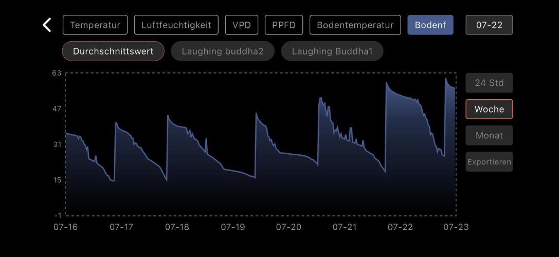 Laughing Buddha. Week 16