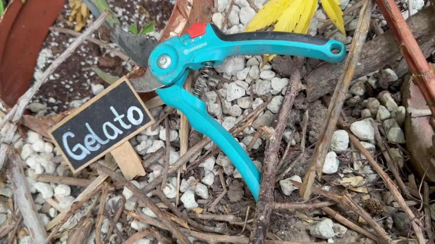 The Hobbit Hole Outdoor Grow 2026