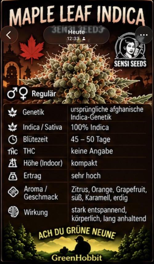 Maple Leaf Indica. Week 0