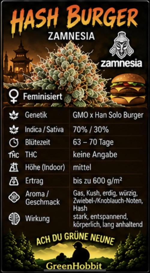 Hash Burger. Week 0