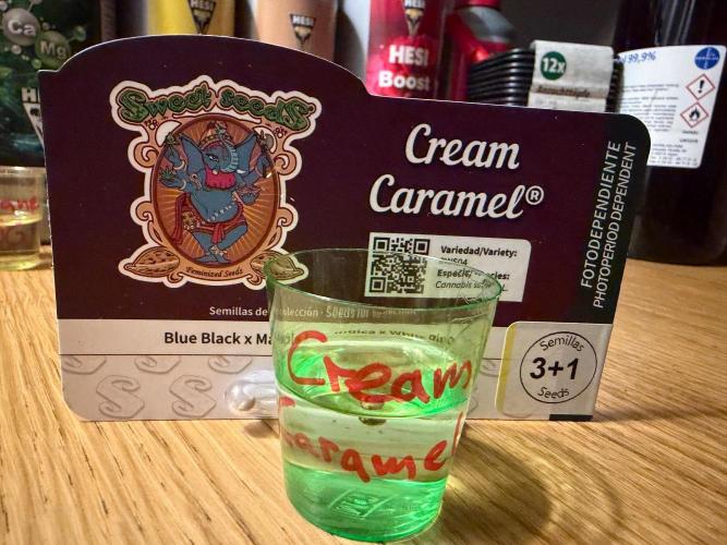 Cream Caramel. Week 0
