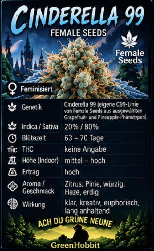 Cinderella - C99. Week 0