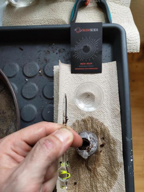 B45-Bio No.1. Week 0