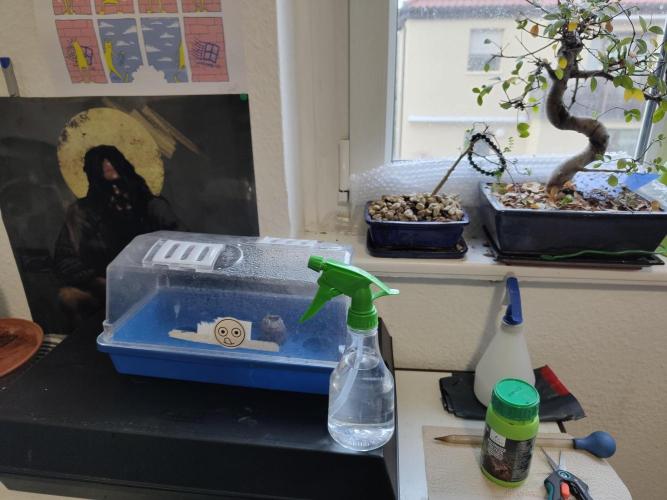 B45-Bio No.1. Week 0