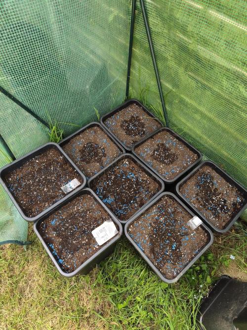 Fast buds outdoor competition 2026 🌱. Week 1