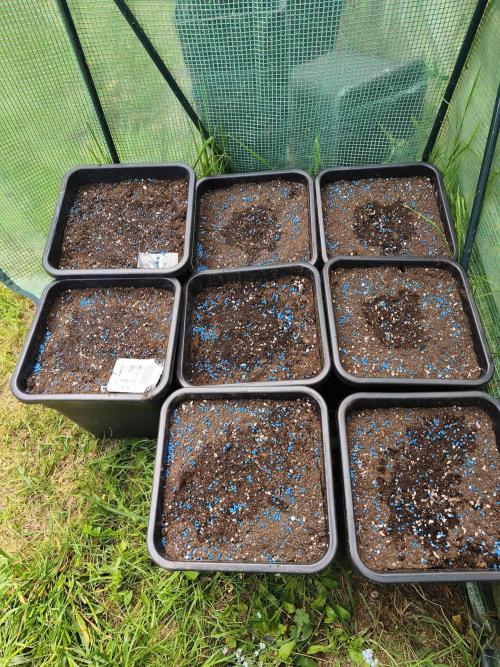 Fast buds outdoor competition 2026 🌱. Week 1