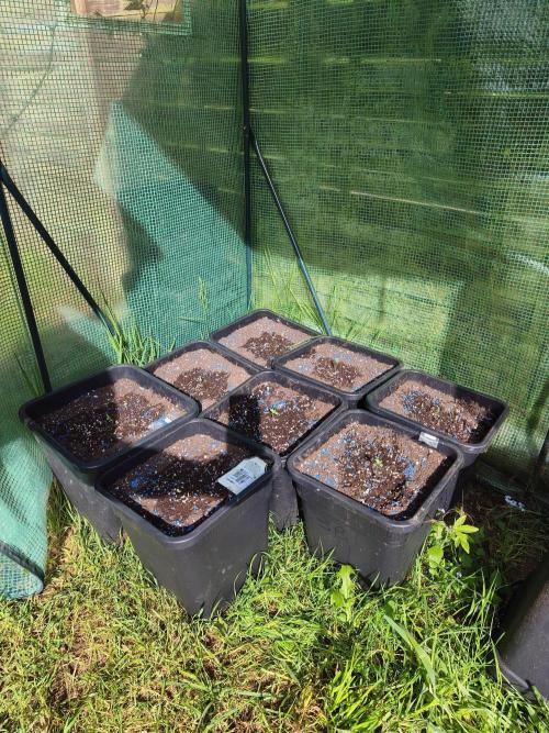 Fast buds outdoor competition 2026 🌱. Week 2