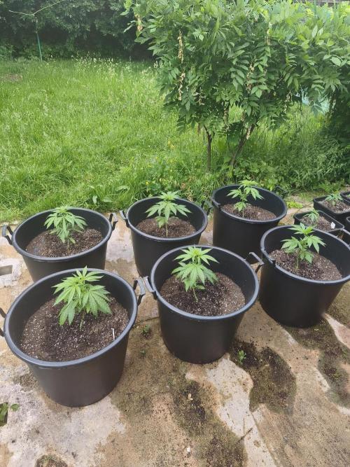 The Great Outdoors 2026 💚. Week 5