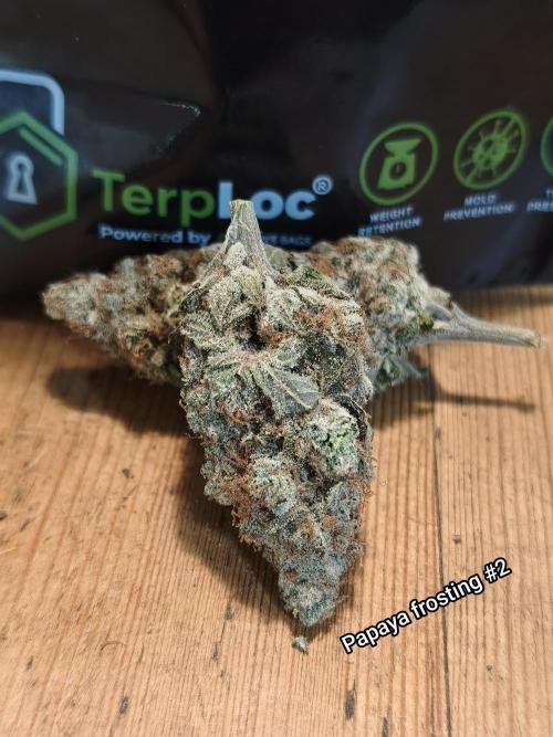 Contemporary exotics 🍋. Week 18