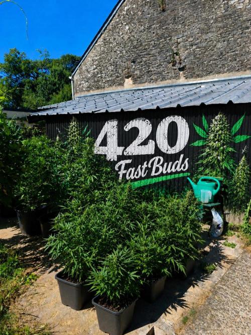 Fast buds outdoor competition 2026 🌱. Week 10