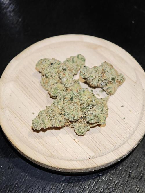 Contemporary Exotics 🍋. Week 19