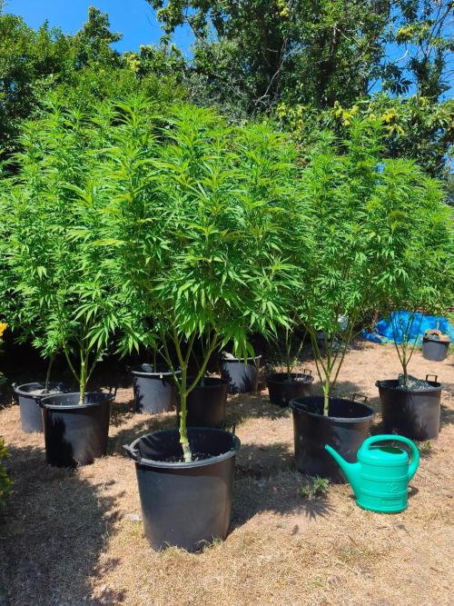 The Great Outdoors 2026 💚. Week 16