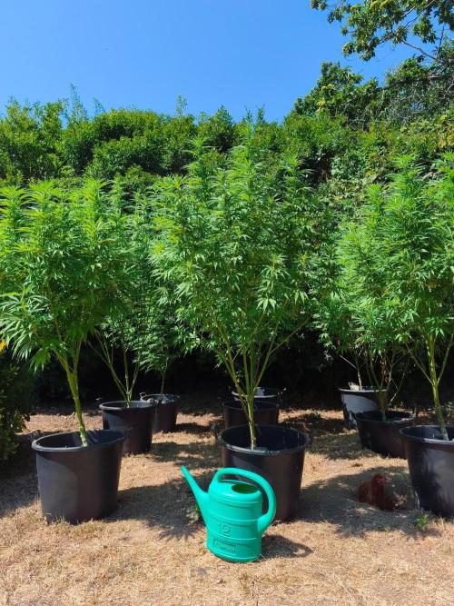 The Great Outdoors 2026 💚. Week 16