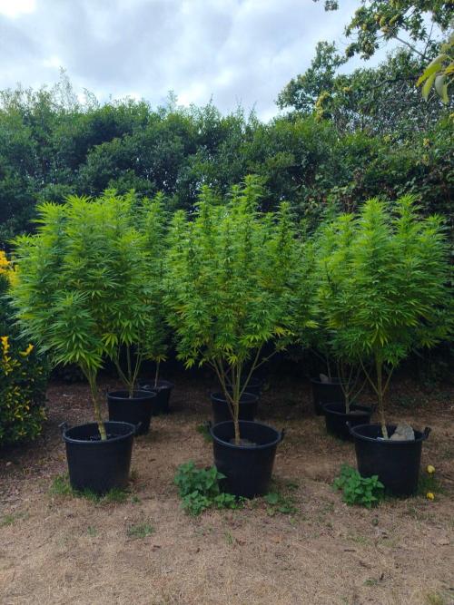 The Great Outdoors 2026 💚. Week 19
