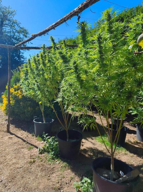 The Great Outdoors 2026 💚. Week 22