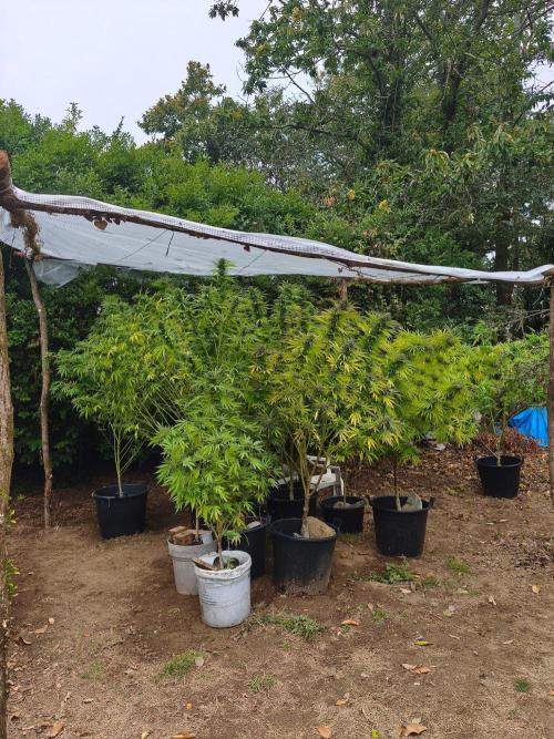 The Great Outdoors 2026 💚. Week 24