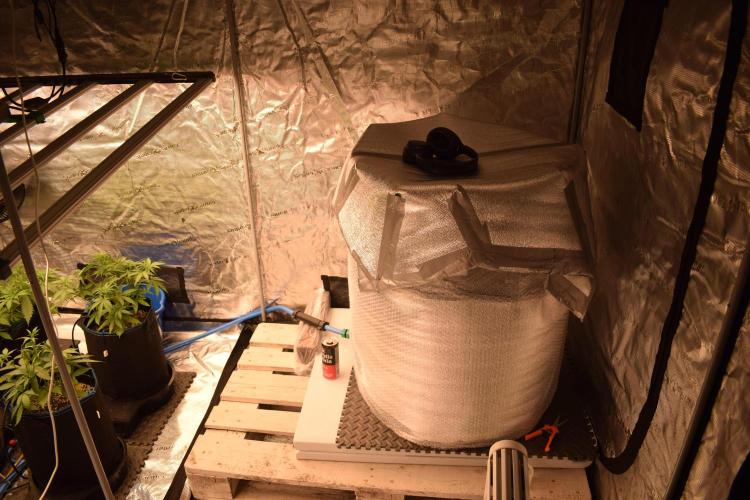 Sour crinkle + 3 bears OG Autoflower. Week 2 - Autopot flexitank 250L wrapped in bubble plastic and radiator insulation foil