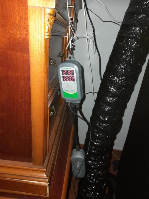 Sour crinkle + 3 bears OG Autoflower. Week 5 - Inkbird temp controller for PK booster tea