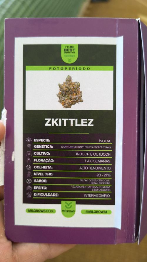 Primeiro ciclo dwc 60x60. Week 0 - Strain 